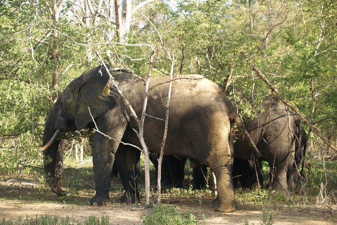 7days/6nights Eco Tourism - Accommodation Details