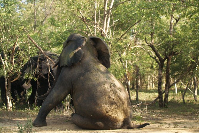7days/6nights Eco Tourism - Meals Included