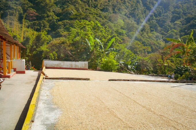 7h Road Trip to the Jungle or Tayrona Park With Cap. Manny - Recap