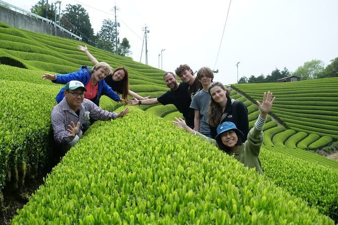 7hr Private Guided Van Tour Nara & Matcha Farm - Key Points