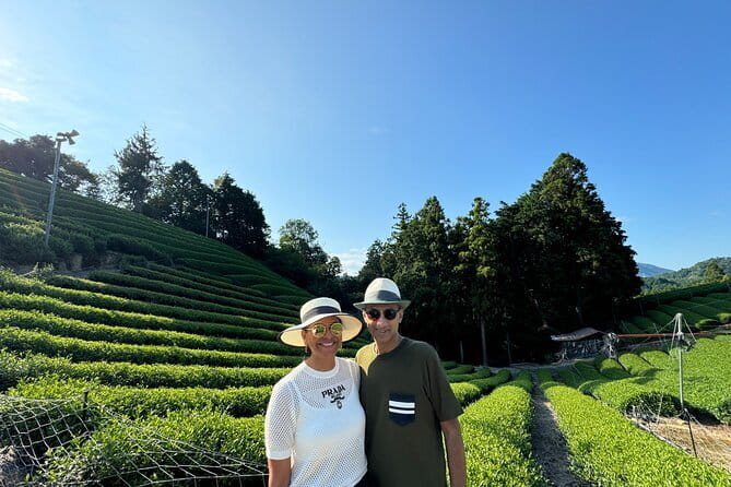 7hr Private Guided Van Tour Nara & Matcha Farm - Savoring the Special Tea Lunch Set