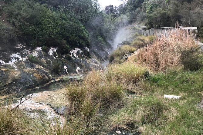 7hr Waimangu Geothermal Valley & Lake Rotomahana Tour - Departs Tauranga - Customer Feedback