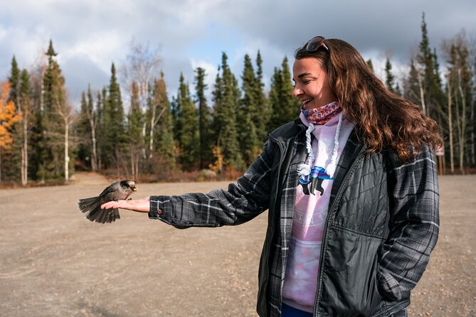 8-12 Hour Private Arctic Circle Experience in Alaska With Lunch - Highlights and Experiences