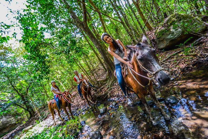 8-Day Best of Northwest Costa Rica From San Jose: Arenal Volcano National Park, Alajuela and Guanacaste - Cano Negro Wildlife Refuge