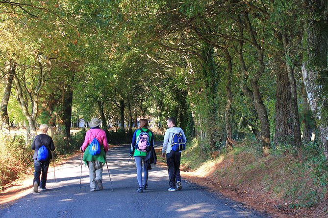 8-Day Camino Frances Pilgrimage Tour From Sarria to Santiago - 2nts Santiago - Inclusions