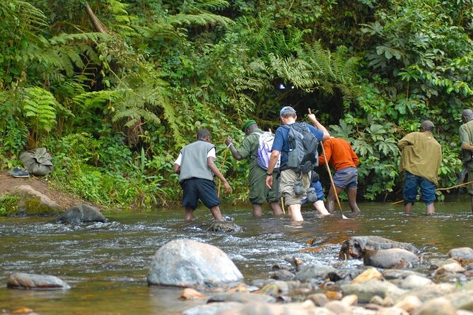 8-Day Classic Uganda Primates & Wildlife Tour - Accommodation Details