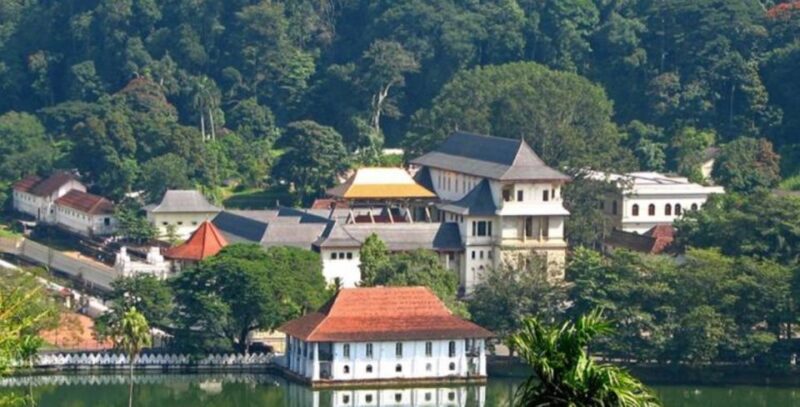 8-Day Cultural Triangle & Wildlife Tour - Included Experiences