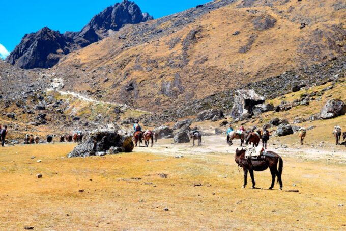 8 Day Cusco and Salkantay Trek to Machu Picchu - Machu Picchu Visit