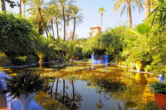 8 Day Desert Tour From Marrakech - Inclusions and Exclusions