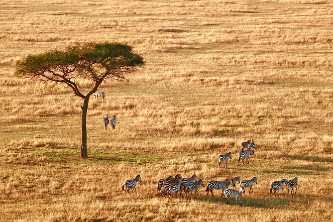 8-Day Essence of Tanzania Safari - Luxury - Pricing and Guarantee