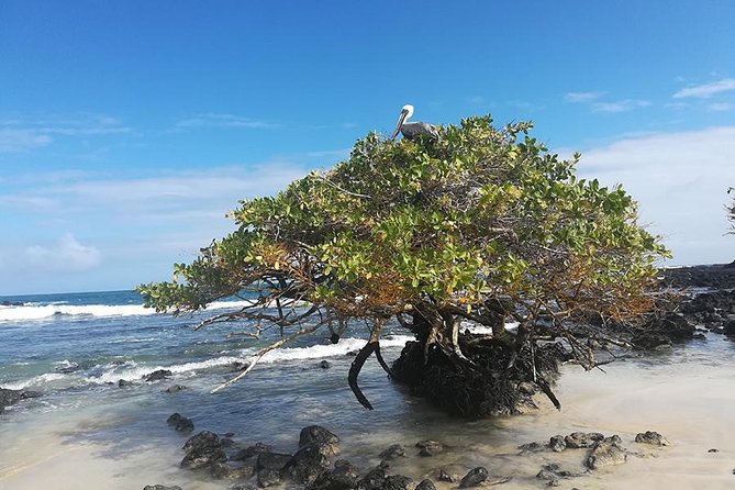 8 Day Galapagos Adventure in San Cristobal, Santa Cruz & Isabela - Hiking the Wall of Tears