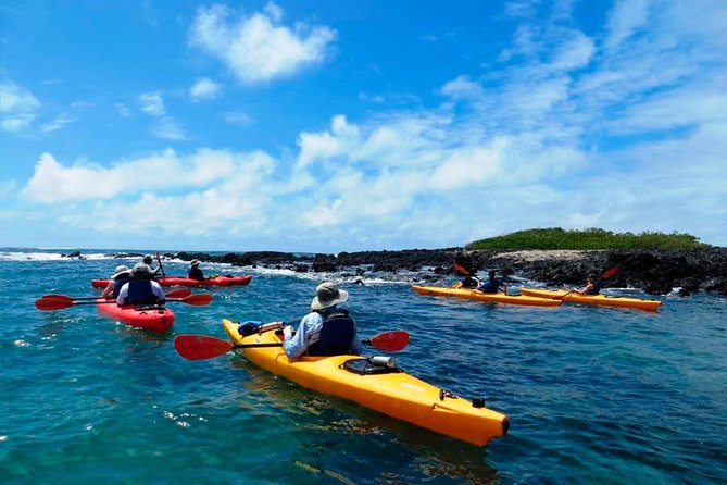 8 Day Galapagos Adventure in San Cristobal, Santa Cruz & Isabela - Trekking Sierra Negra Volcano