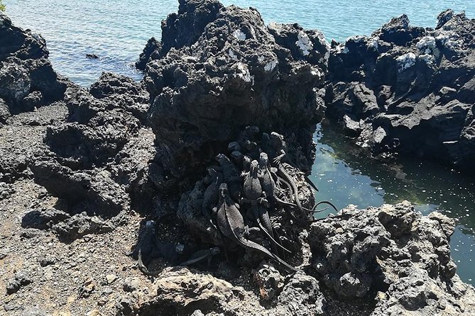 8 Day Galapagos Adventure in San Cristobal, Santa Cruz & Isabela - Arrival and Departure Details