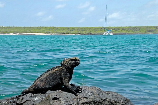 8-Day Galapagos Island Hopping Backpack Style: Los Tuneles and Kicker Rock - Key Points