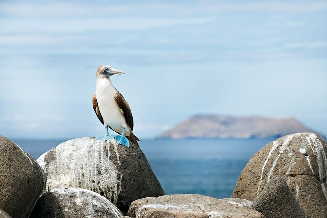 8-Day Galapagos Island Hopping Backpack Style: Los Tuneles and Kicker Rock - Fees and Additional Expenses