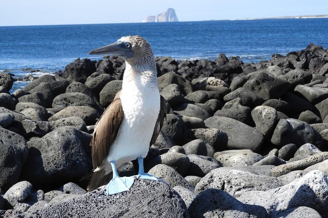 8-Day Galapagos Multisport: San Cristobal, Isabela and Santa Cruz - Key Points