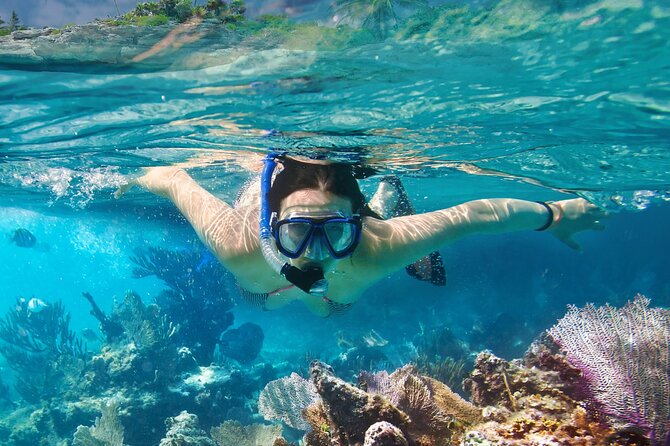 8-Day Galapagos Multisport: San Cristobal, Isabela and Santa Cruz - Discovering Santa Cruz Island