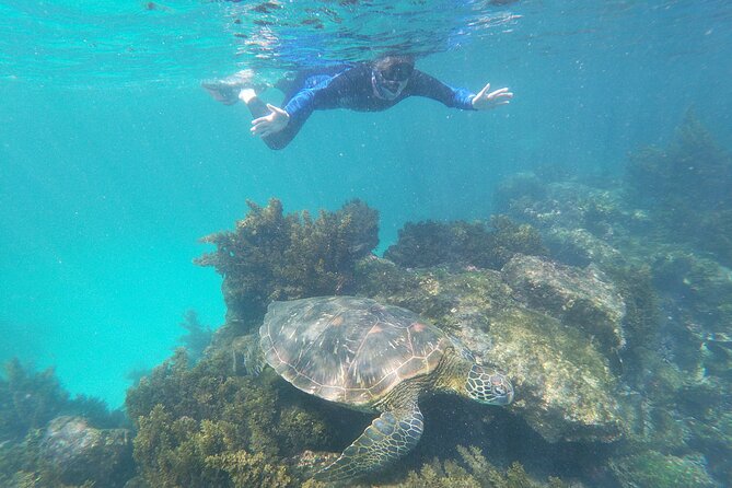 8-Day Galapagos Multisport: San Cristobal, Isabela and Santa Cruz - Mountain Biking Across Islands