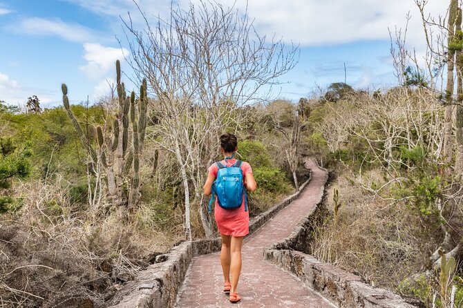 8-Day Galapagos Multisport: San Cristobal, Isabela and Santa Cruz - Kayaking Through Mangrove Forests