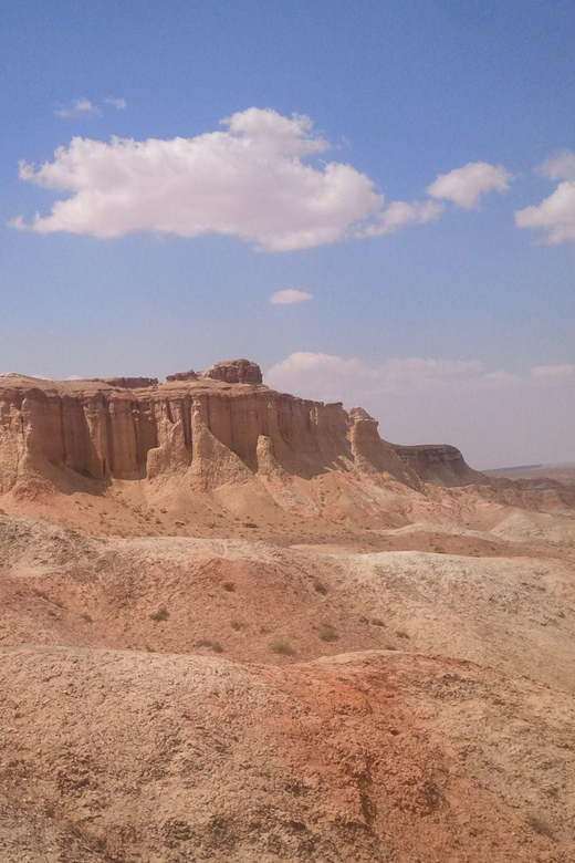 8 DAY GOBI AND CENTRAL MONGOLIA - Transportation and Guides