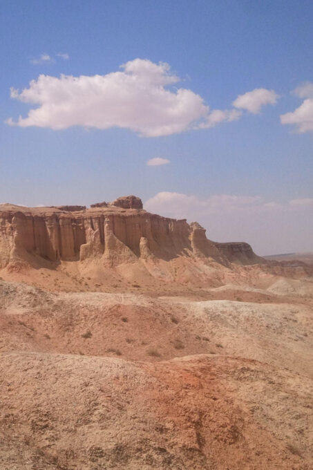 8 DAY GOBI AND CENTRAL MONGOLIA - Baga Gazriin Chuluu