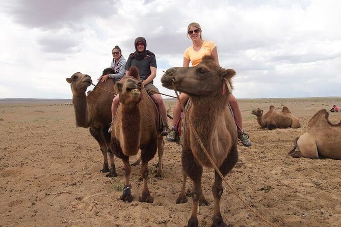 8 Day Great Gobi and Central Mongolia - Meeting and Pickup