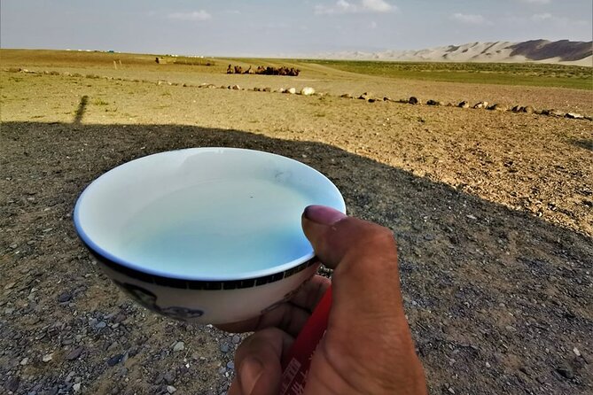 8 Day Great Gobi and Central Mongolia - Health and Accessibility