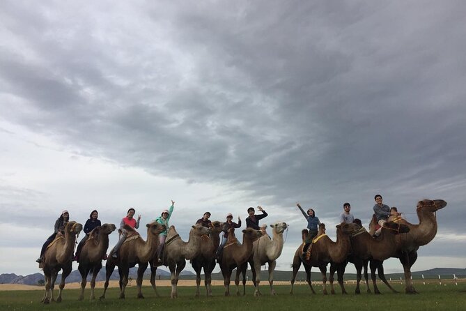 8 Day Great Gobi and Central Mongolia - Itinerary