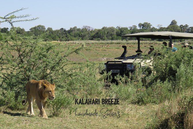 8 Day Highlights Of Botswana & Victoria Falls Overland Tour - Cancellation Policy