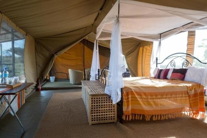 8-Day Kenya and Tanzania Private Lodging Safari From Nairobi - Itinerary and Activities