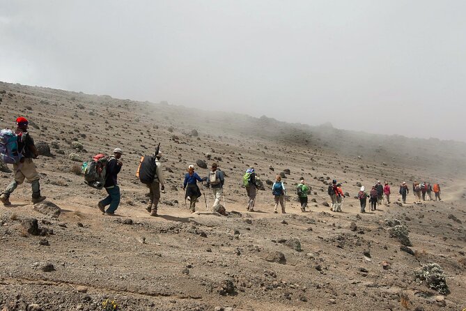 8 Day Kilimanjaro Lemosho Climb - Inclusions