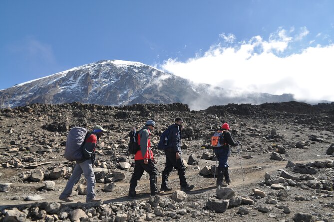 8 Day Kilimanjaro Lemosho Climb - Accessibility and Fitness
