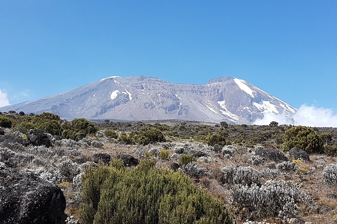 8 Day Kilimanjaro Lemosho Climb - Cancellation Policy