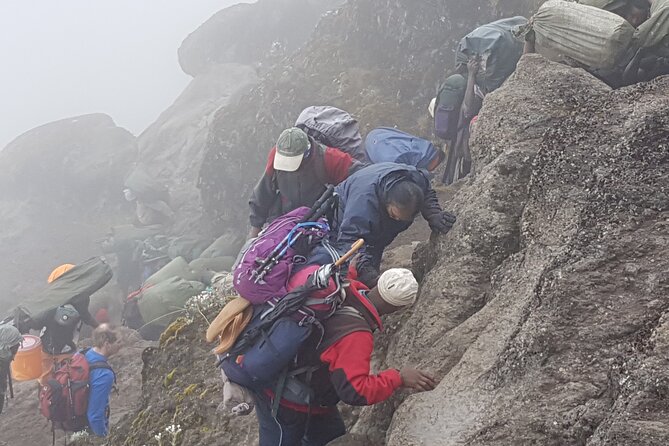 8 Day Kilimanjaro Lemosho Climb - Pricing and Reviews
