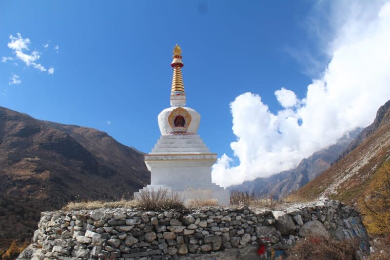 8-Day Langtang Valley Trek: A Himalayan Adventure - Accommodation and Meals