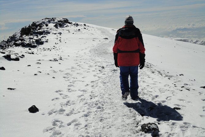 8-Day Lemosho Route Group Hiking on Kilimanjaro - Meeting and Pickup