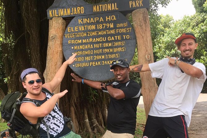 8-Day Lemosho Route Group Hiking on Kilimanjaro - Health and Accessibility