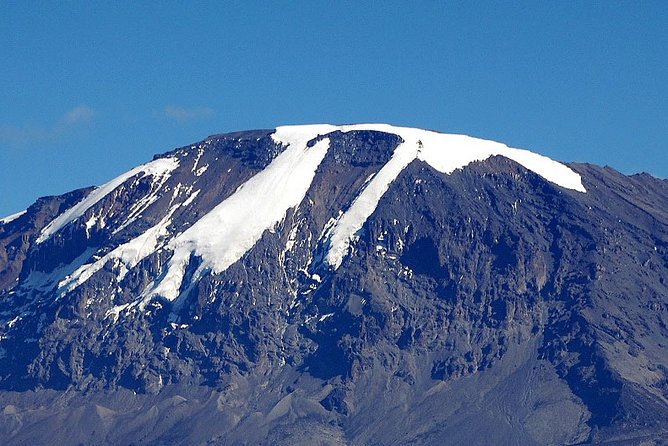 8-Day Lemosho Route Group Hiking on Kilimanjaro - Reviews and Ratings