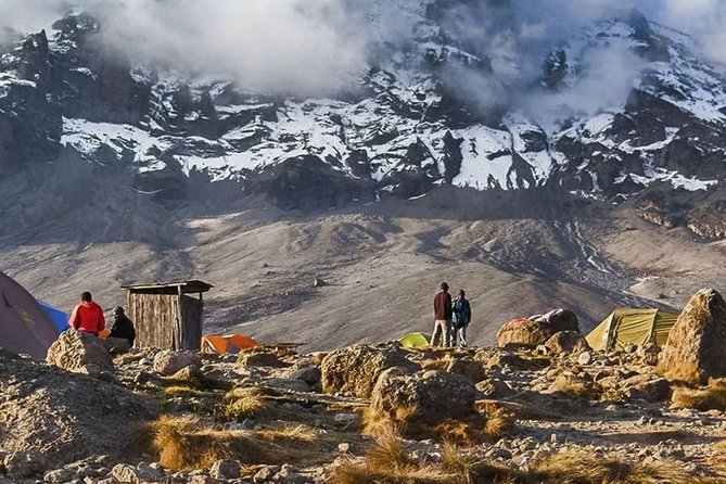 8-Day Lemosho Route Group Hiking on Kilimanjaro - Preparing for the Hike