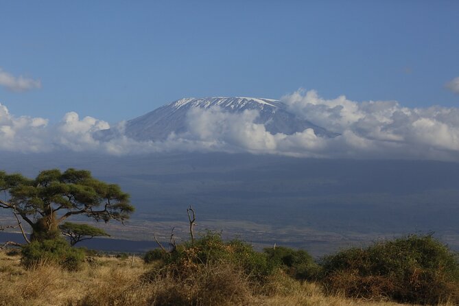 8 Day Masai Mara, Lake Nakuru, Lake Naivasha Amboseli Safari - Included Meals and Drinks