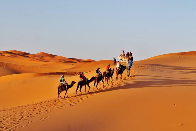 8 - Day Morocco Tour From Casablanca via Sahara Desert - Meeting and Pickup