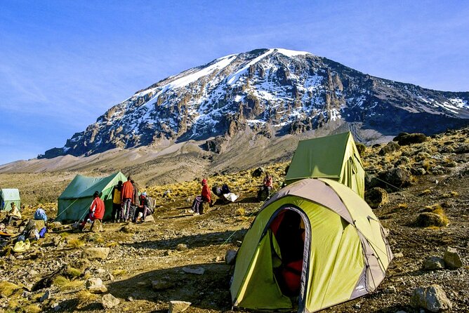 8 Day Mount Kilimanjaro Trekking Lemosho Route - Meeting and Pickup