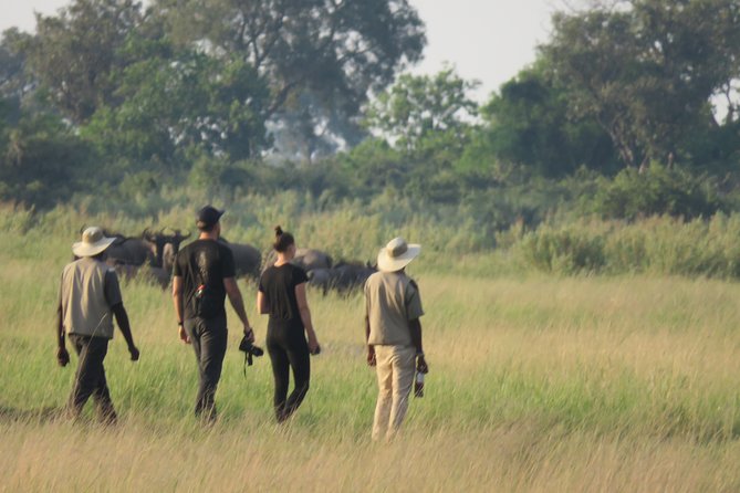 8 Day Okavango Safari - Wilderness Trail (Inner Delta & Moremi) - Pickup and Transfer Details