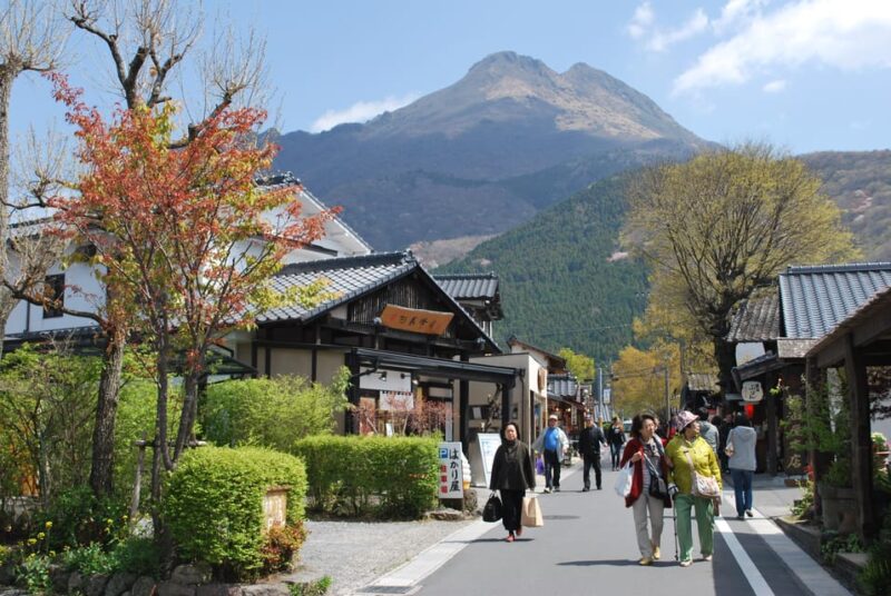8-Day ONE WAY Bus Tour to Fukuoka From Osaka via SHIKOKU - Key Points