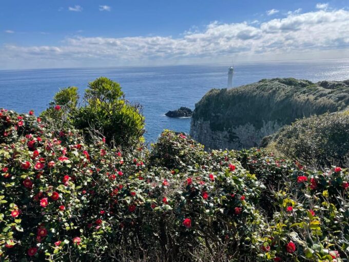 8-Day ONE WAY Bus Tour to Fukuoka From Osaka via SHIKOKU - FAQ