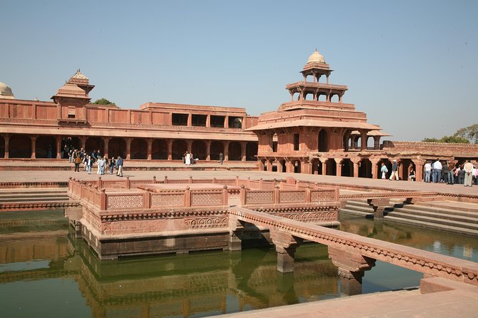 8-Day Private Golden Triangle Tour With a Ranthambore Wildlife Safari - Ranthambore Wildlife Safari