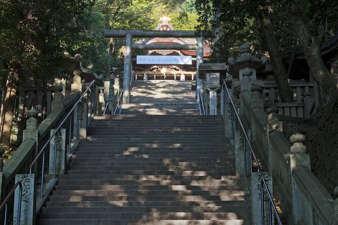 8 Day Private One Way Bus Tour to Fukuoka From Osaka - Accessibility and Recommendations