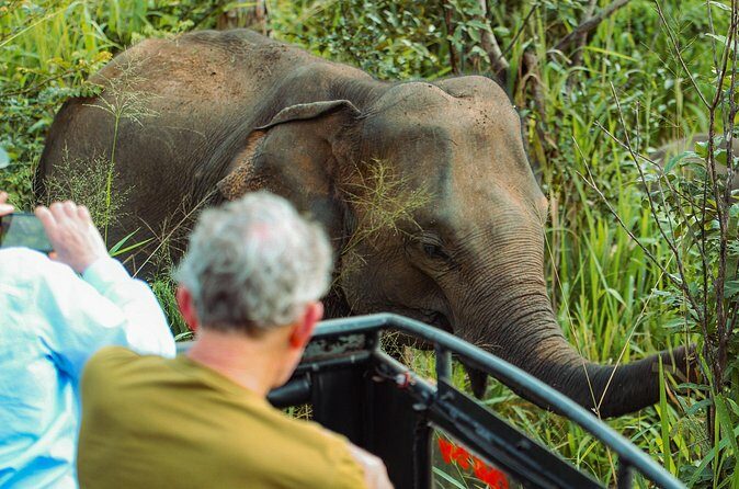 8 Day Private Sri Lanka Tour with Chauffeur - Final Thoughts