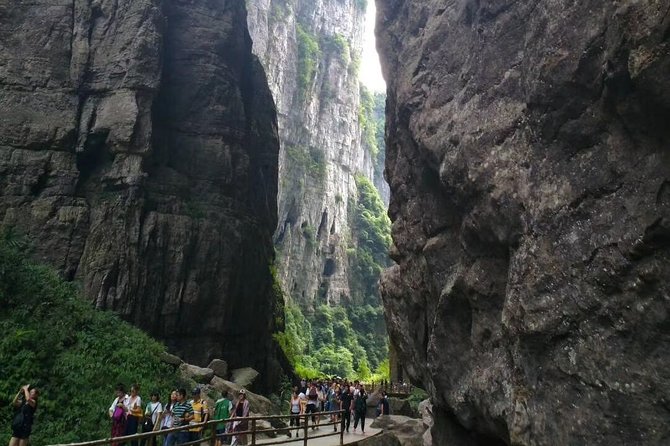 8-Day Private Tour From Chengdu to Chongqing and Yangtze River Cruise - Customization and Flexibility