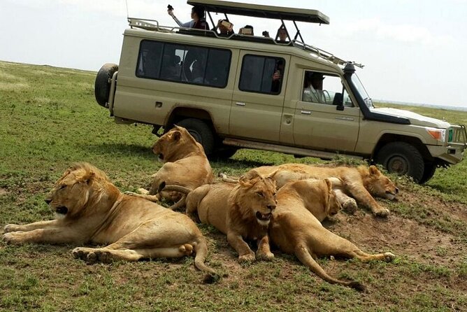 8 Day Private Wildebeest Migration Safari Serengeti Ngorongoro - Ngorongoro Crater Exploration